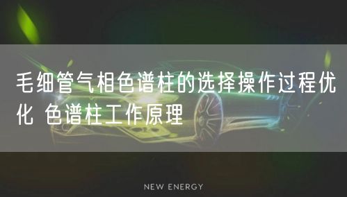 毛細(xì)管氣相色譜柱的選擇操作過(guò)程優(yōu)化 色譜柱工作原理(圖1)