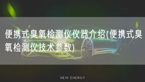 便攜式臭氧檢測(cè)儀儀器介紹(便攜式臭氧檢測(cè)儀技術(shù)參數(shù))(圖1)
