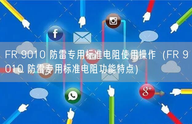 FR 9010 防雷專用標準電阻使用操作（FR 9010 防雷專用標準電阻功能特點）(圖1)