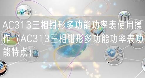 AC313三相鉗形多功能功率表使用操作（AC313三相鉗形多功能功率表功能特點）(圖1)